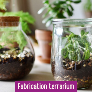 13.png Fabrication Terrarium (6 ans et +)