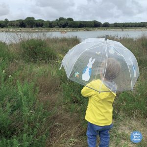 2023120516210818.jpg Parapluie – Pierre lapin