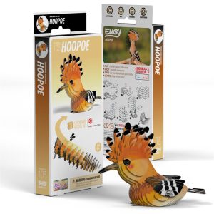 20240927100626241.jpg Animaux carton en 3D : Oiseau Huppé