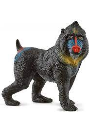 20241105062514240.jpg Singe Mandrill