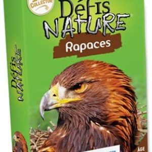 20241115162451353.jpg Défis nature : Rapaces