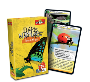 20241127090335225.jpg Défis nature : Insectes