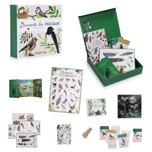 20241208044659397.jpg Découverte des oiseaux