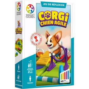 Corgi chien agile