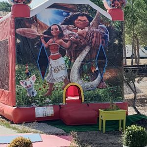 Château gonflable Vayana