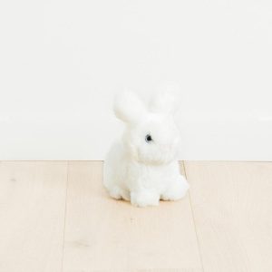 Mon lapin Léon – blanc