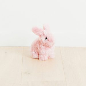 Mon lapin Léon – rose