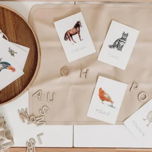 PastelLudiqueCartesd_apprentissage-Animauxdelaferme.jpgv1709215174 Pastel ludique | Cartes d'apprentissage - Animaux, légumes ou fruits