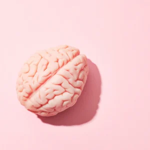 Activité avant-goût - Cerveau fou rebondissant