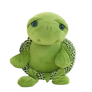 c-19.jpg Peluche géante tortue